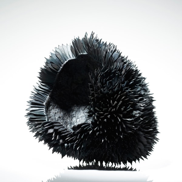 Junko Mori, Propagation Project; Roses, 2016