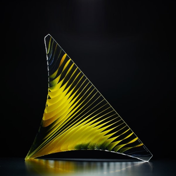 Colin Reid, Colour Saturation: Yellow and Black, 2019