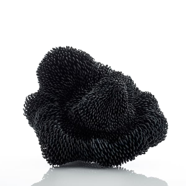 Junko Mori, Propagation Project; Surf / Conch, 2017