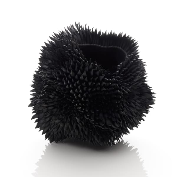 Junko Mori, Propagation Project; Multiple Nigella, 2016