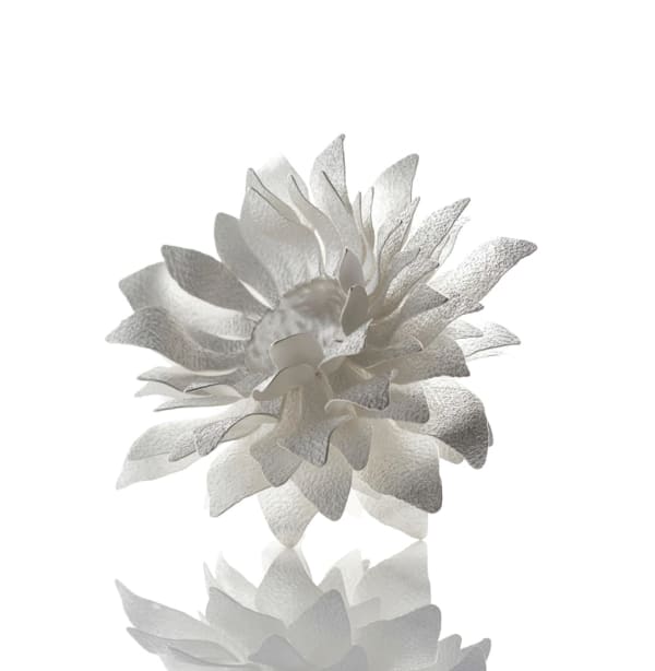 Junko Mori, Silver Organism; Rusty Roses, 2016