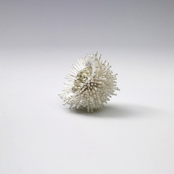 Junko Mori, A Silver Organism; Larch, 2014