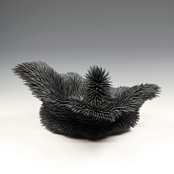 Junko Mori, Propagation Project; Round Spiked Conch, 2015