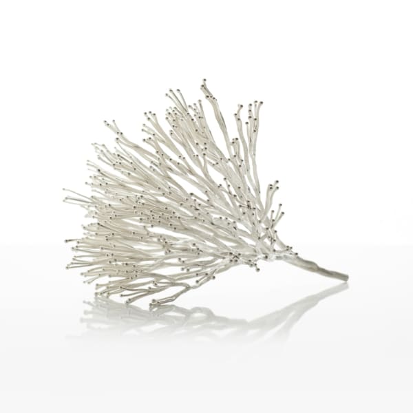 Junko Mori, Uncontrollable Beauty; Cherry Bud, 2016