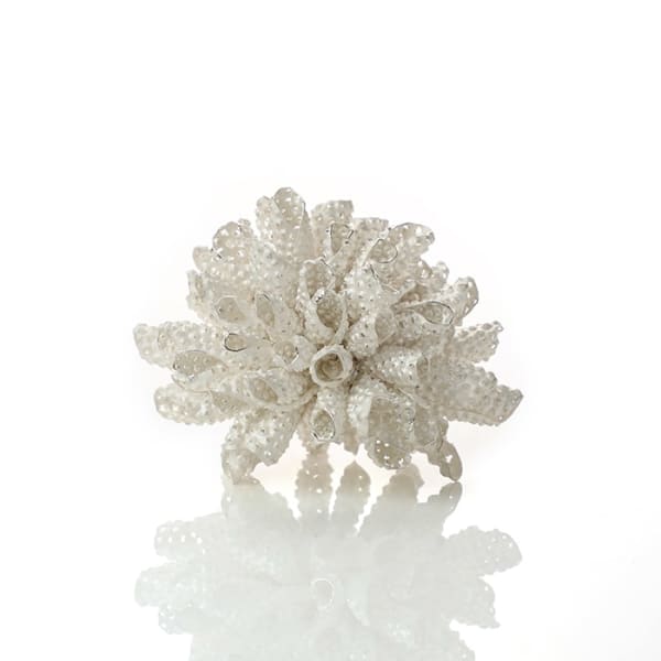 Junko Mori, Silver Organism; Urchin, 2020