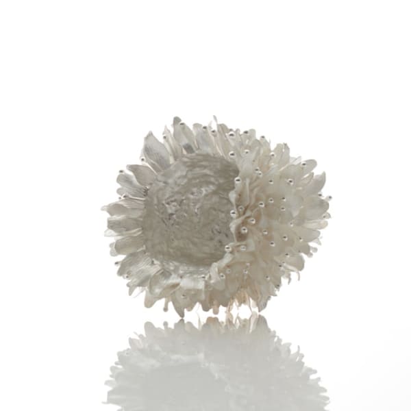 Junko Mori, Silver Organism; Sakura Dew, 2019
