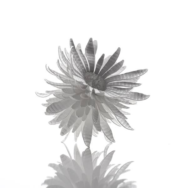 Junko Mori, Silver Organism; Cananga, 2016