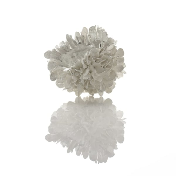 Junko Mori, Silver Organism; Rusty Twist, 2017