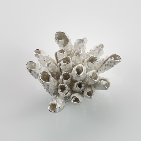 Junko Mori, Silver Organism, Super Mini Conch, 2025