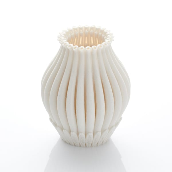 Nico Conti, Filigree of Porcelain; Bloom, 2020