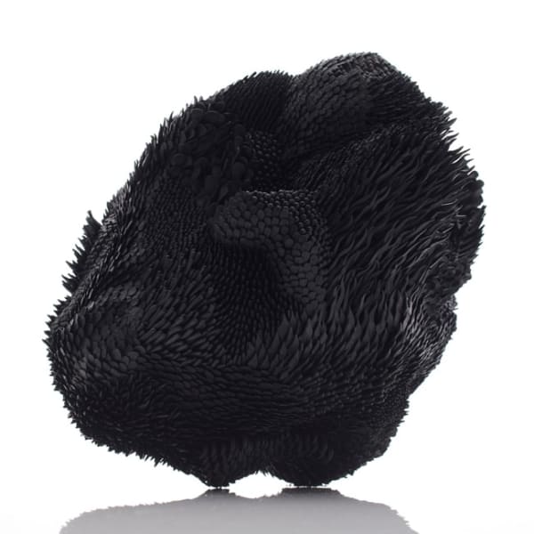 Junko Mori, Propagation Project; Japanese Woods Haiku, 2019