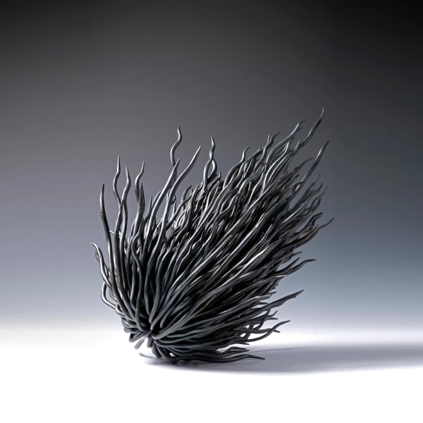 Junko Mori, Propagation Project; Roots, 2014