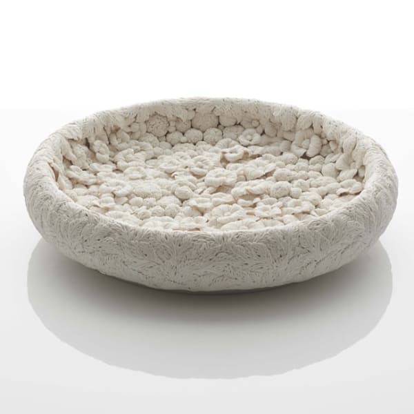 Hitomi Hosono, An English Daisy and Leaves Pool, 2018