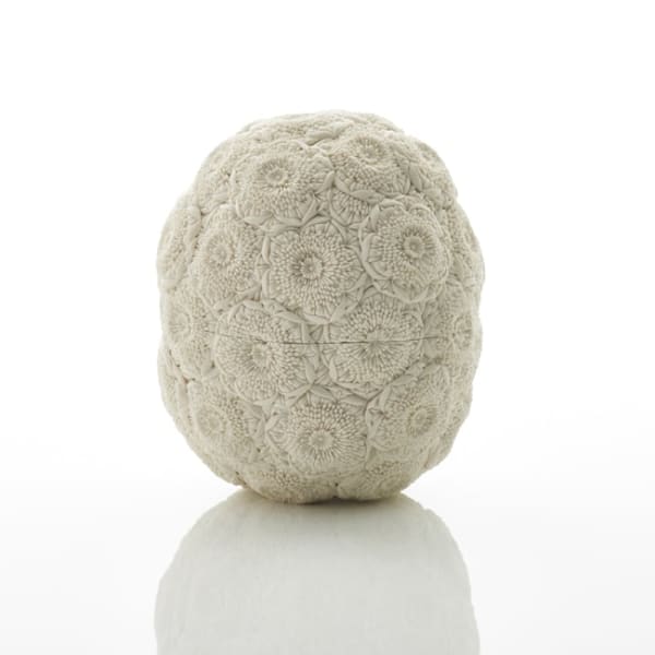 Hitomi Hosono, A Camellia Box, 2016