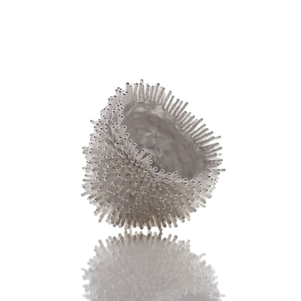 Junko Mori, Silver Organism; Pine Needle, 2016