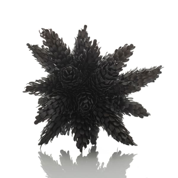 Junko Mori, Propagation Project; Multiple Pinecone, 2020