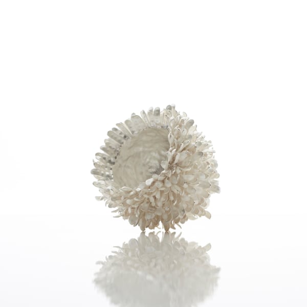 Junko Mori, A Silver Organism; Bean, 2016