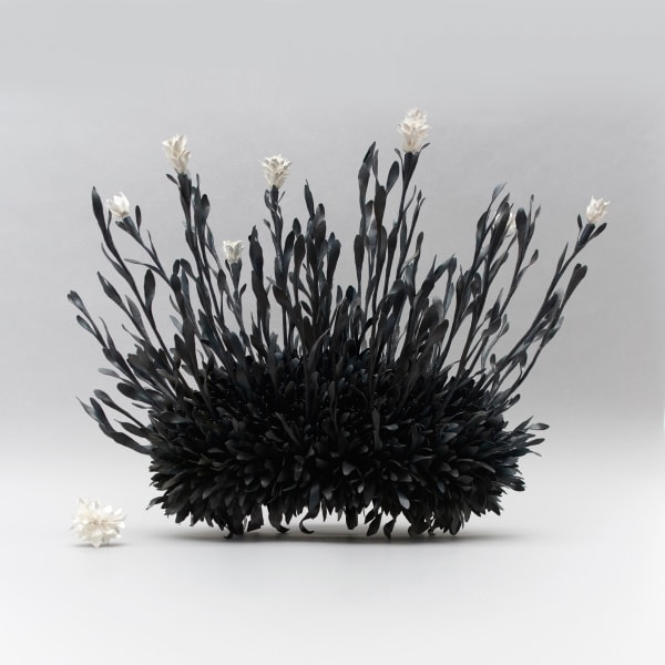 Junko Mori, Botany; Lavender, 2016