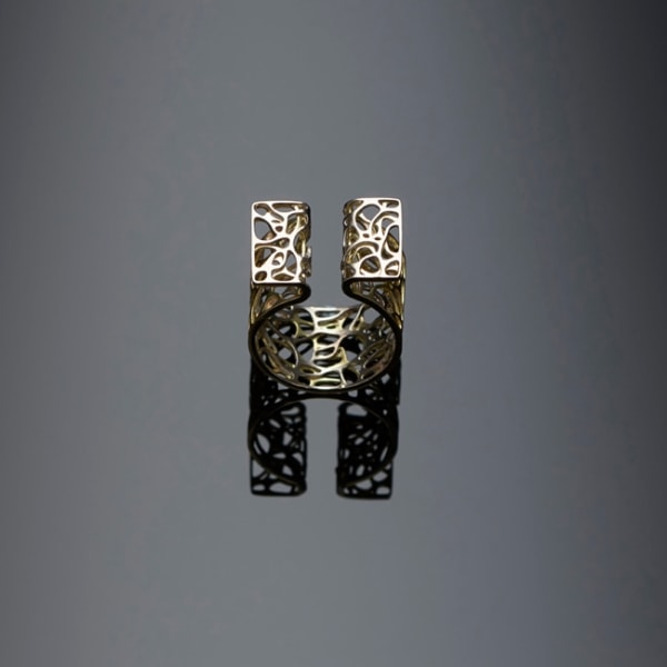 MM Hiroshi Suzuki, Ripple Series: Open Ring, 2017