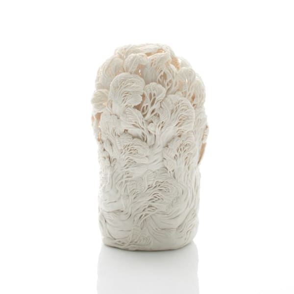 Hitomi Hosono, A Dancing Pine Tree Tower, 2018