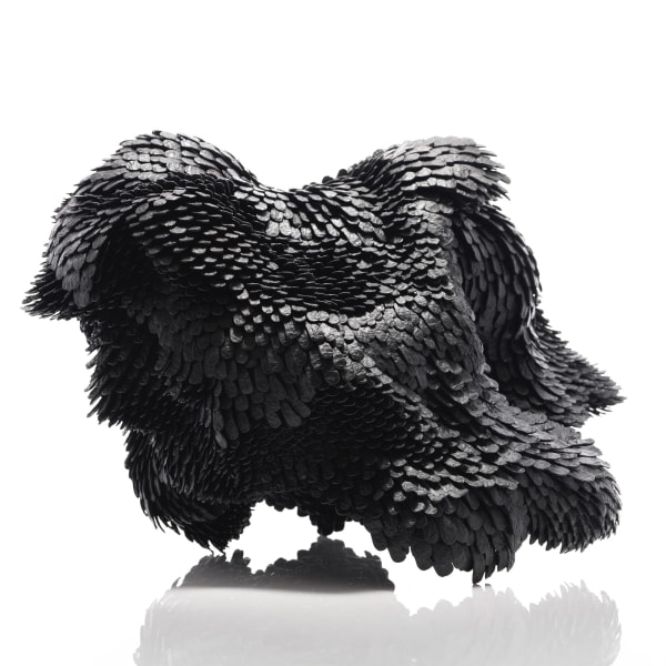 Junko Mori, Propagation Project; Bird Wave, 2024