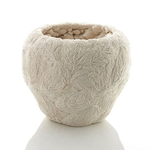 Hitomi Hosono, A Super Large Mangrove Bowl, 2015