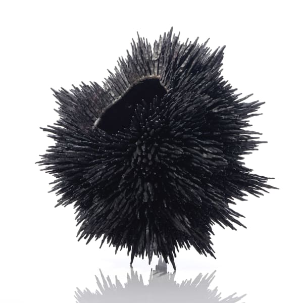 Junko Mori, Propagation Project: Textured Spike Pinecones, 2025