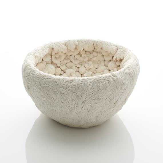 Hitomi Hosono, An English Daisy and Feather Leaves Bowl, 2018