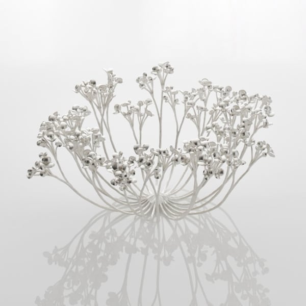 Junko Mori, Uncontrollable Beauty; Fennel, 2017