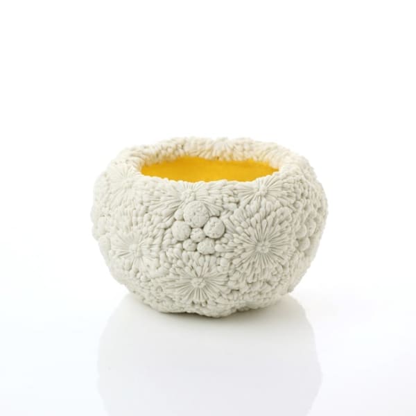 Hitomi Hosono, A Very Small Chrysanthemum Bowl, 2019