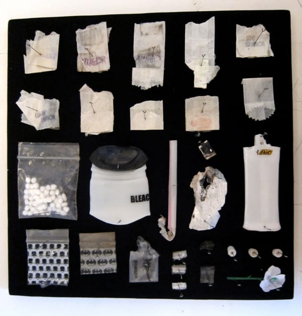 Stephen J. SHANABROOK, Moth collection, 2011