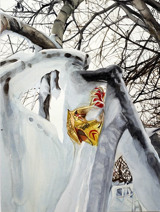Till RABUS, Pris dans la glace n°2, 2012