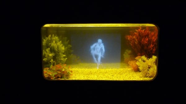Pierrick SORIN, Aquarium au danseur, 2010