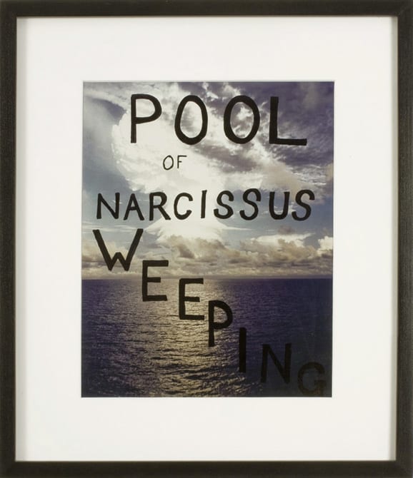 John ISAACS, Pool of Narcissus weeping, 2008