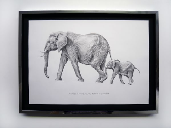 Filip MARKIEWICZ, Elephant, 2016