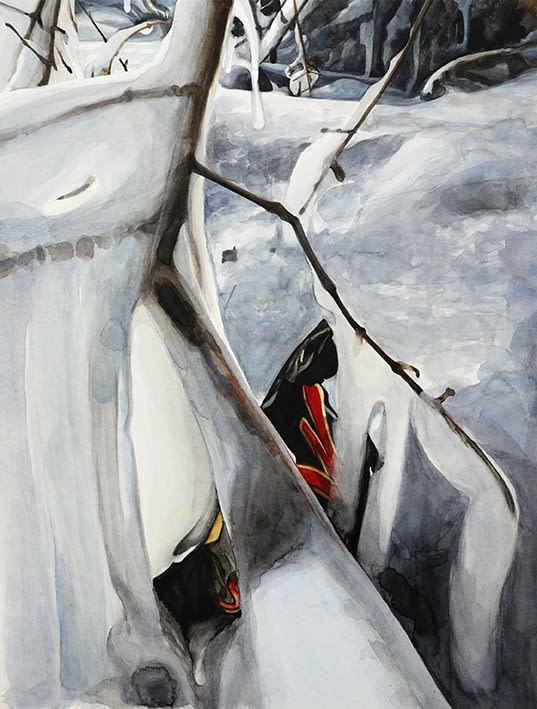 Till RABUS, Pris dans la glace n°4, 2012