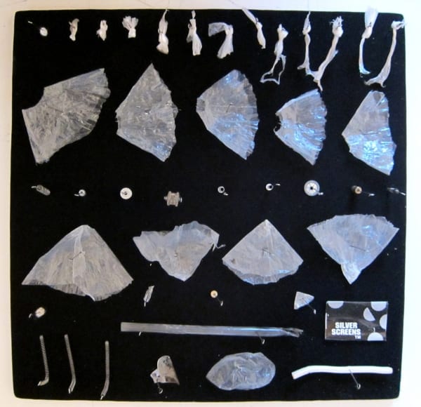 Stephen J. SHANABROOK, Moth collection, 2011