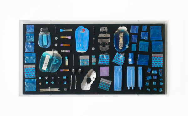 Stephen SHANABROOK, Moth collection, 2011