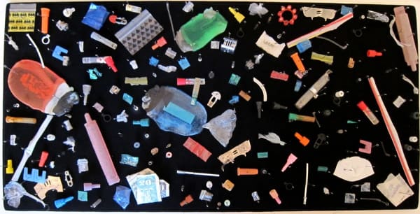 Stephen J. SHANABROOK, Moth collection, 2011