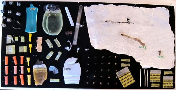 Stephen J. SHANABROOK, Moth collection, 2011