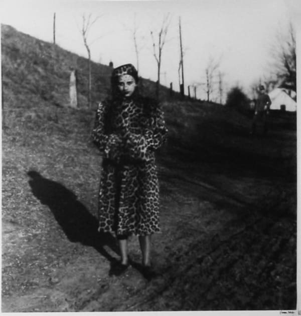 Vivan Sundaram, Distance, 2002