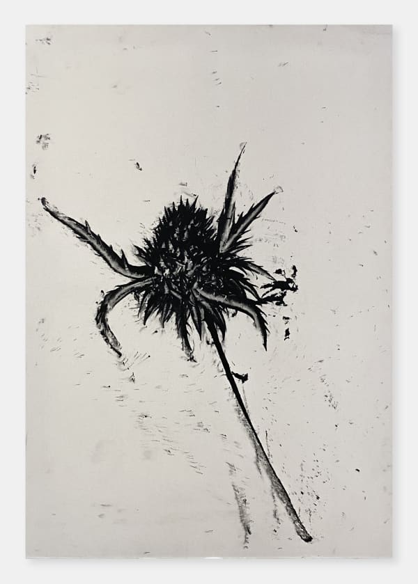 Nasreddine Bennacer. Algerian Artist. Contemporary African Art in Paris. AFIKARIS. Gouache on Japanese paper. Black and White. Between abstraction and figuration. Hybridity of techniques. Quest for identity. Art contemporain africain. Work balances abstraction and figuration, blending hybrid techniques in a quest for identity.