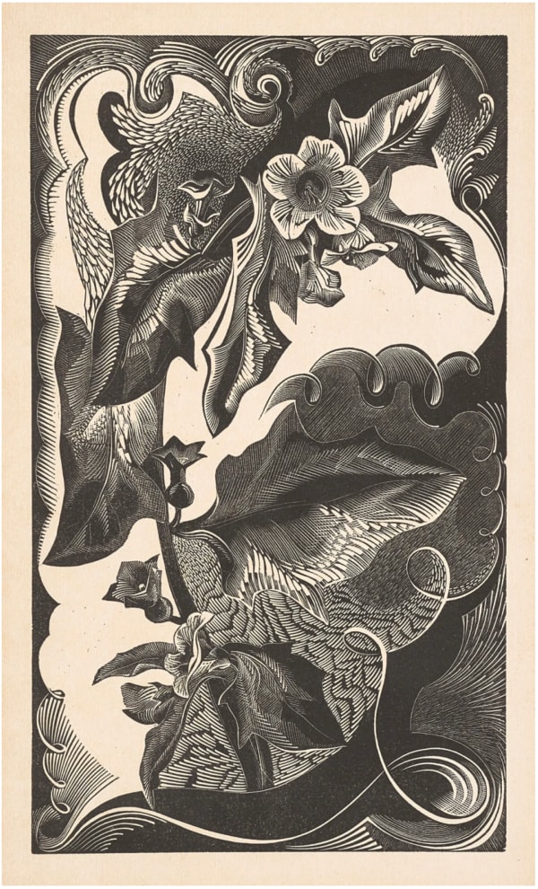 Gertrude Hermes Henbane 1929