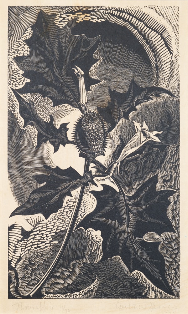 Gertrude Hermes Thorn Apple