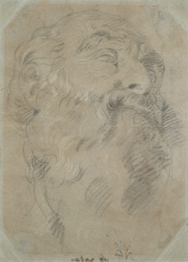 Tiepolo Head of a bearded man drawing