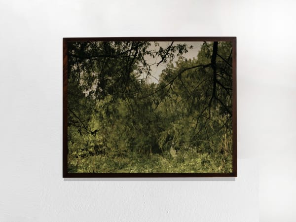 Elizabeth Gabrielle Lee, Confusion in my soul, 2019