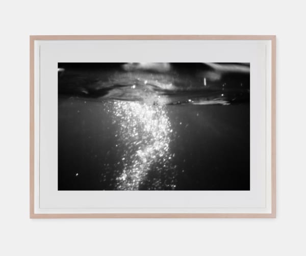 Fiona Ones, Evening Dive, 2016