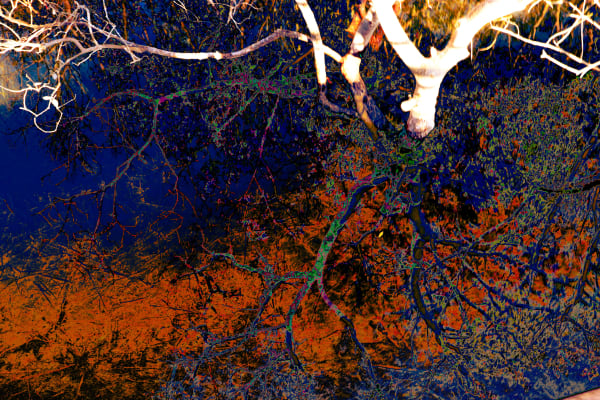 Ruqaya Al Hashmi, Can you see me between the lines?, 2022