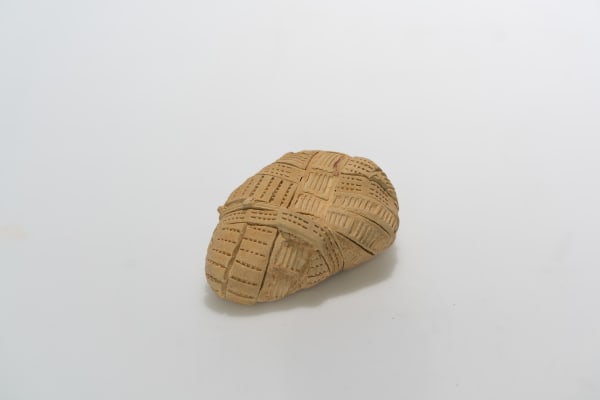 Asma Belhamar, جديد 15 (A New Age 15), 2023