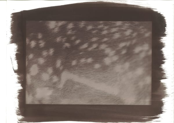 Ammar Al Attar, Texture of Nature 9, 2018